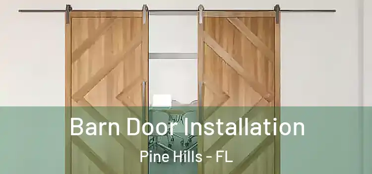 Barn Door Installation Pine Hills - FL