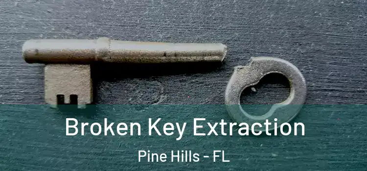 Broken Key Extraction Pine Hills - FL