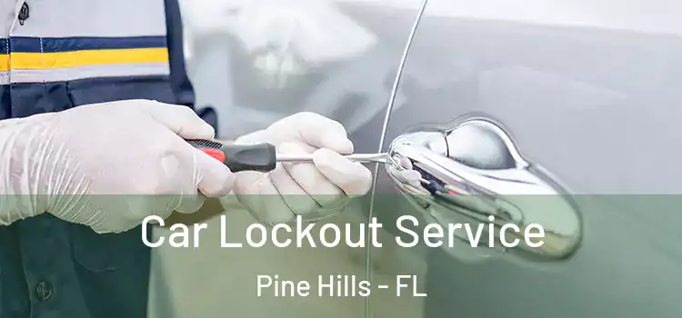 Car Lockout Service Pine Hills - FL