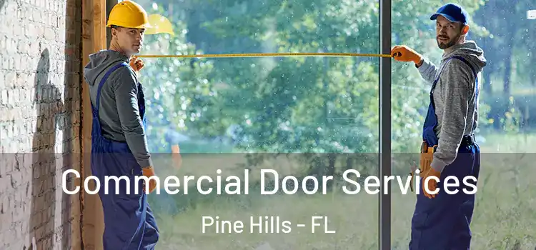 Commercial Door Services Pine Hills - FL
