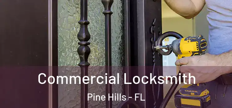 Commercial Locksmith Pine Hills - FL