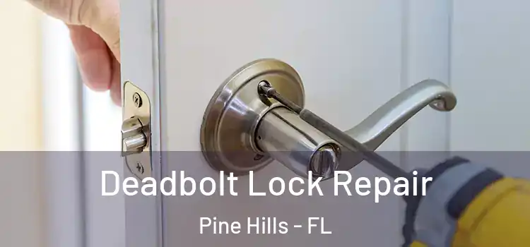 Deadbolt Lock Repair Pine Hills - FL