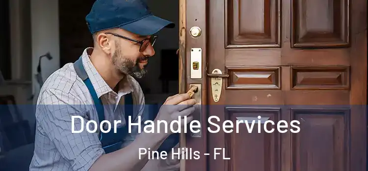 Door Handle Services Pine Hills - FL