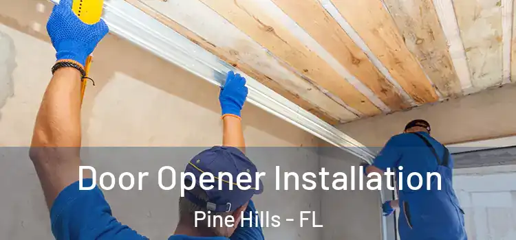 Door Opener Installation Pine Hills - FL