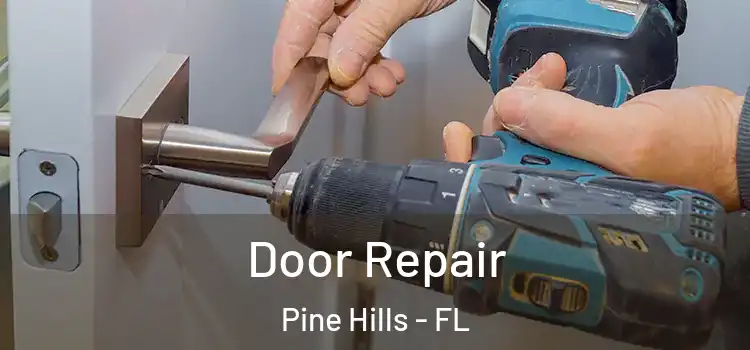 Door Repair Pine Hills - FL