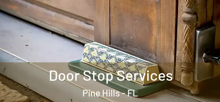 Door Stop Services Pine Hills - FL