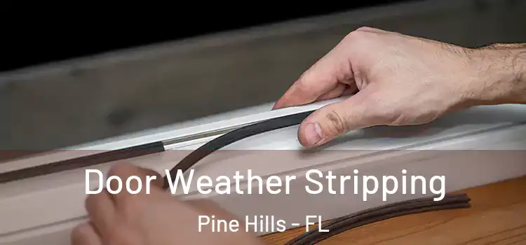 Door Weather Stripping Pine Hills - FL