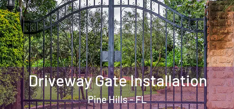 Driveway Gate Installation Pine Hills - FL
