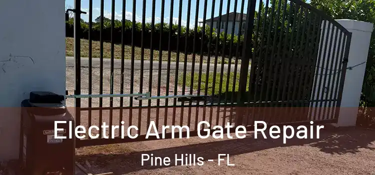 Electric Arm Gate Repair Pine Hills - FL