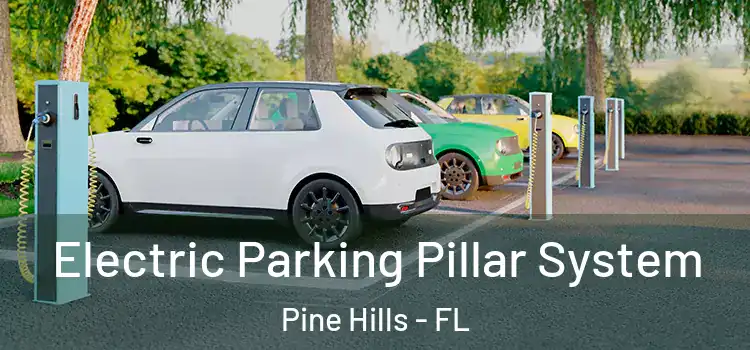 Electric Parking Pillar System Pine Hills - FL