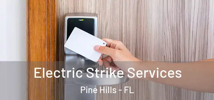 Electric Strike Services Pine Hills - FL