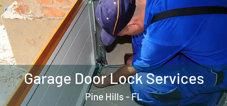 Garage Door Lock Services Pine Hills - FL