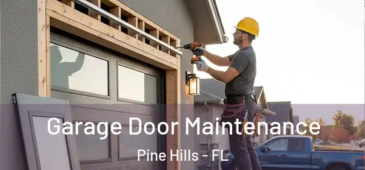 Garage Door Maintenance Pine Hills - FL