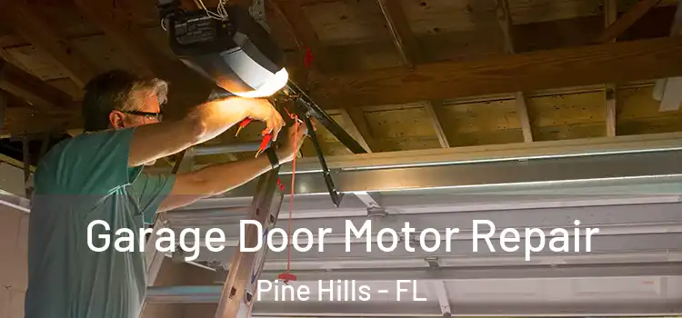  Garage Door Motor Repair Pine Hills - FL