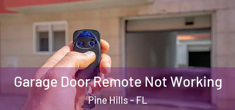  Garage Door Remote Not Working Pine Hills - FL