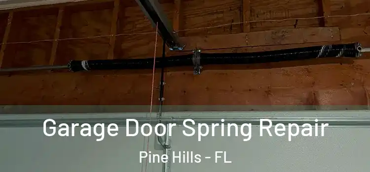 Garage Door Spring Repair Pine Hills - FL