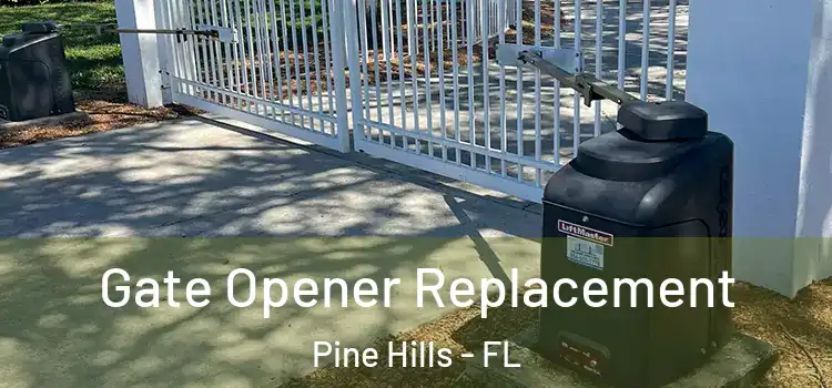 Gate Opener Replacement Pine Hills - FL