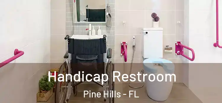 Handicap Restroom Pine Hills - FL