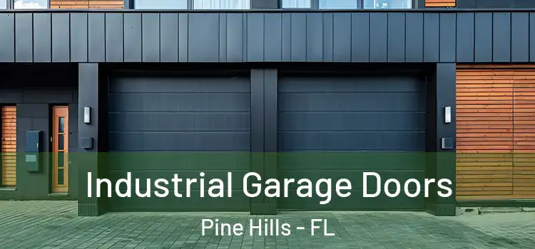  Industrial Garage Doors Pine Hills - FL