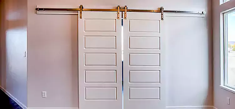 Glass Barn Door with Installation Hardware Kit Pine Hills