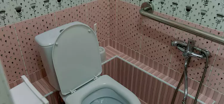 Meeting Diverse Needs With Accessible Restroom Solutions in Pine Hills, FL