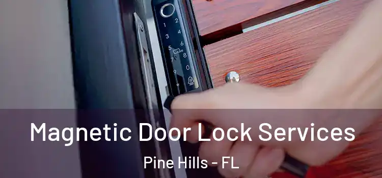Magnetic Door Lock Services Pine Hills - FL