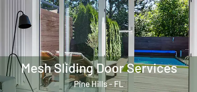 Mesh Sliding Door Services Pine Hills - FL