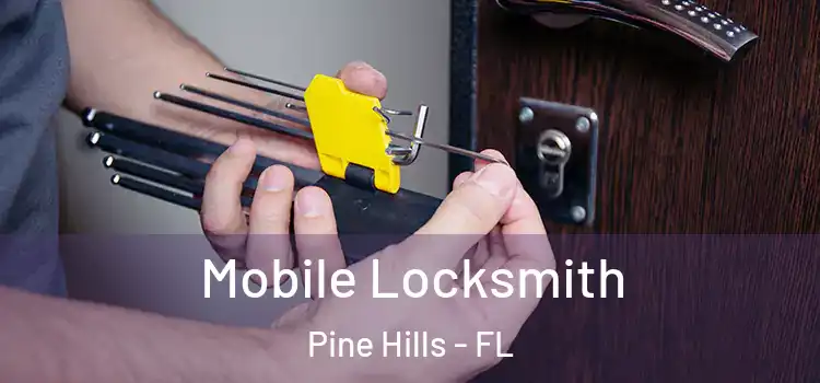 Mobile Locksmith Pine Hills - FL
