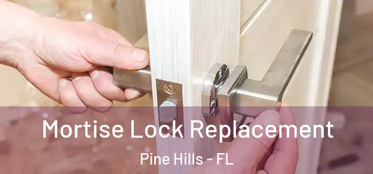 Mortise Lock Replacement Pine Hills - FL