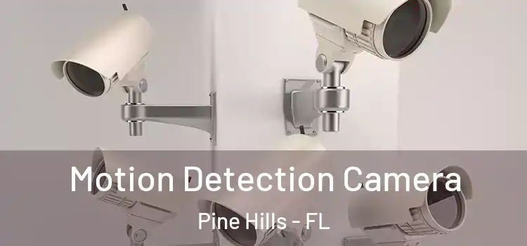  Motion Detection Camera Pine Hills - FL