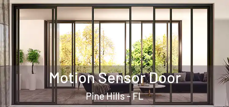 Motion Sensor Door Pine Hills - FL
