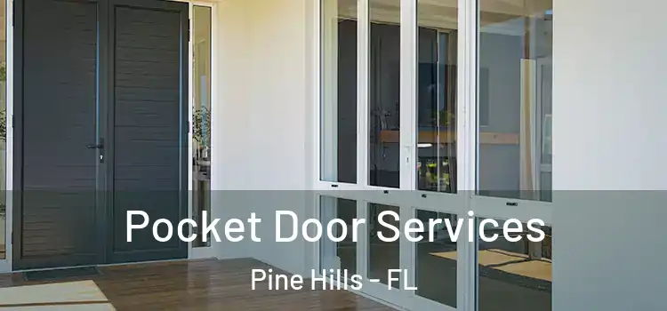 Pocket Door Services Pine Hills - FL