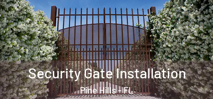 Security Gate Installation Pine Hills - FL