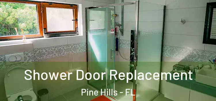 Shower Door Replacement Pine Hills - FL