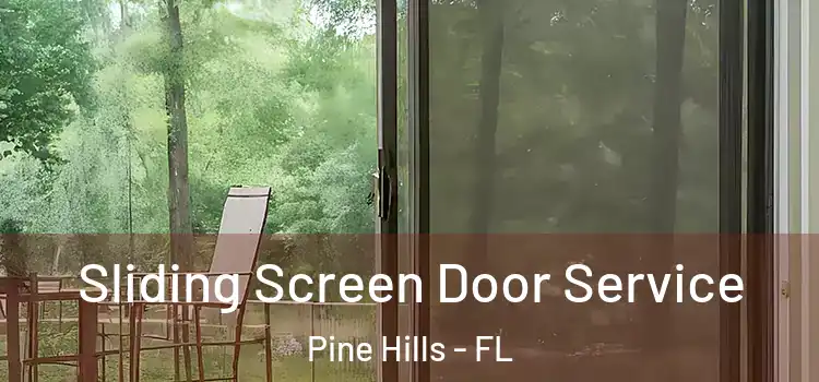 Sliding Screen Door Service Pine Hills - FL