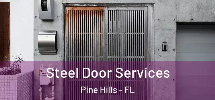 Steel Door Services Pine Hills - FL